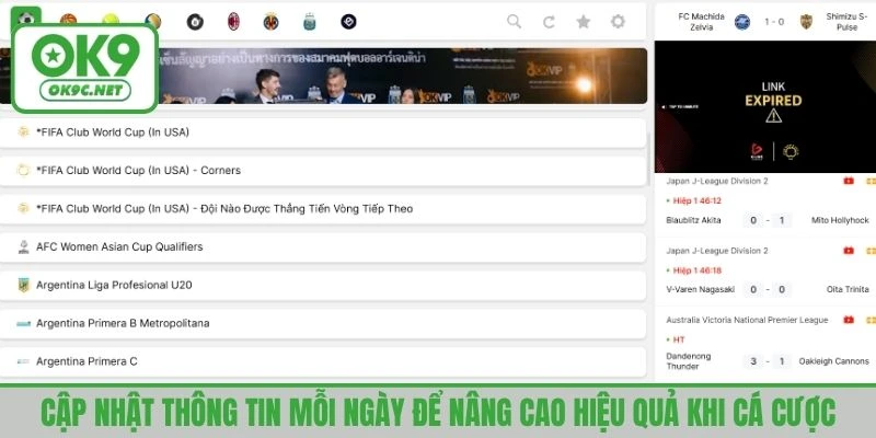 Cập nhật thông tin mỗi ngày để nâng cao hiệu quả khi cá cược