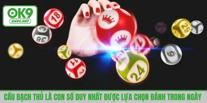 Cầu bạch thủ là con số duy nhất người chơi lựa chọn đánh trong ngày 