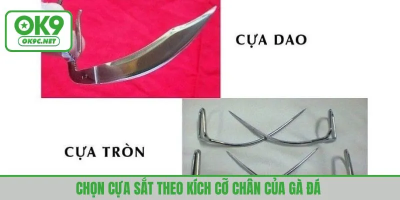 Chọn cựa sắt theo kích cỡ chân của gà đá
