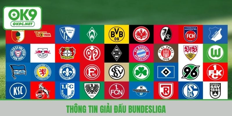 Giải đấu Bundesliga lớn nhất tại Đức thành lập 62 năm