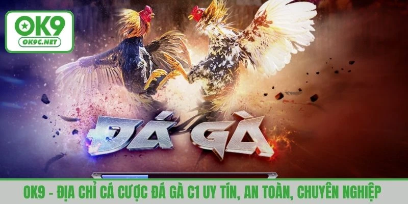 OK9 - địa chỉ cá cược đá gà C1 uy tín, an toàn, chuyên nghiệp