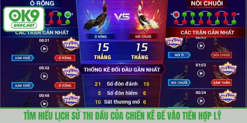 Tìm hiểu lịch sử thi đấu của chiến kê để vào tiền hợp lý