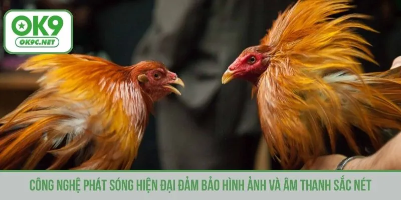 Công nghệ phát sóng hiện đại đảm bảo hình ảnh và âm thanh sắc nét